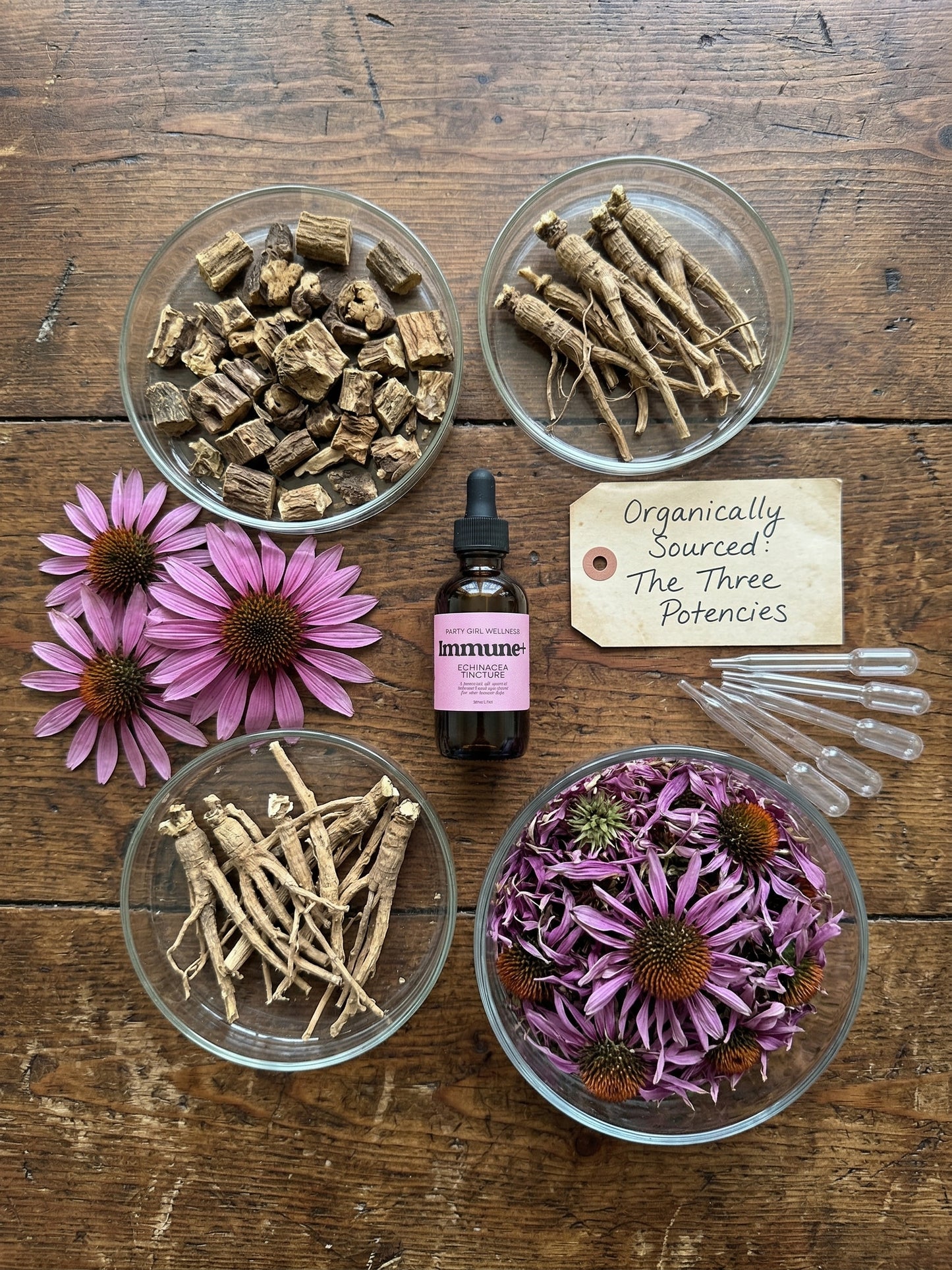 Organic Echinacea Tincture